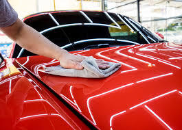 
      
        Prepare it Thoroughly For Storage
      
