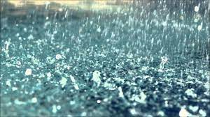 
      
        Dont Store In Pouring Rain
      
